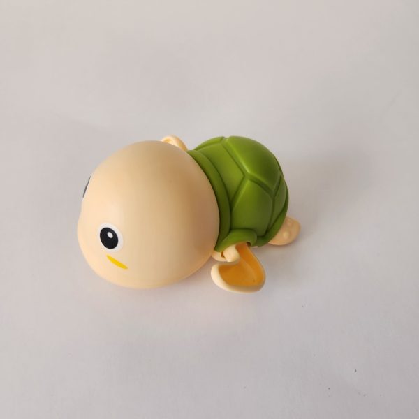 Tortuga Agua VERDE