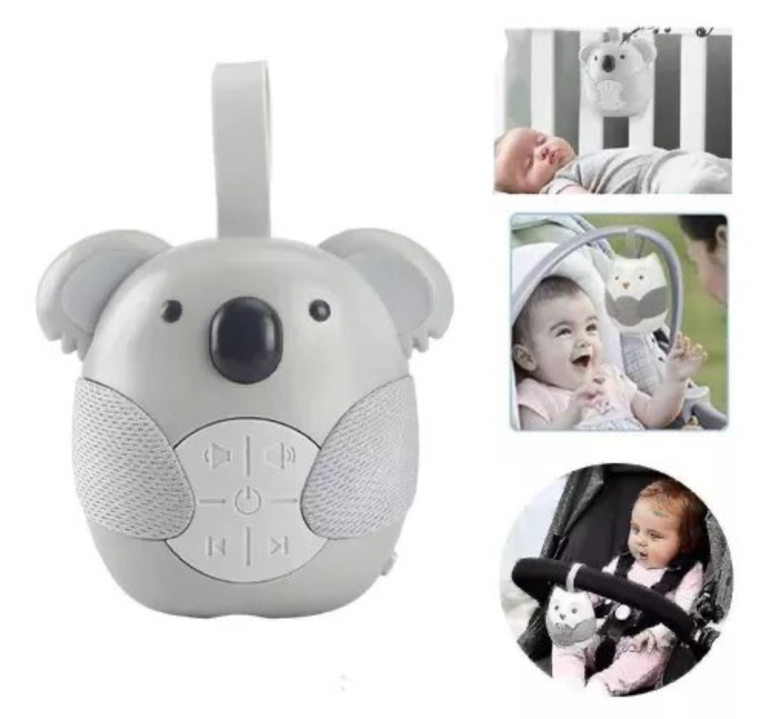 koala 1