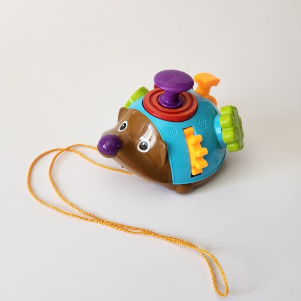 Erizo sensorial multicolor