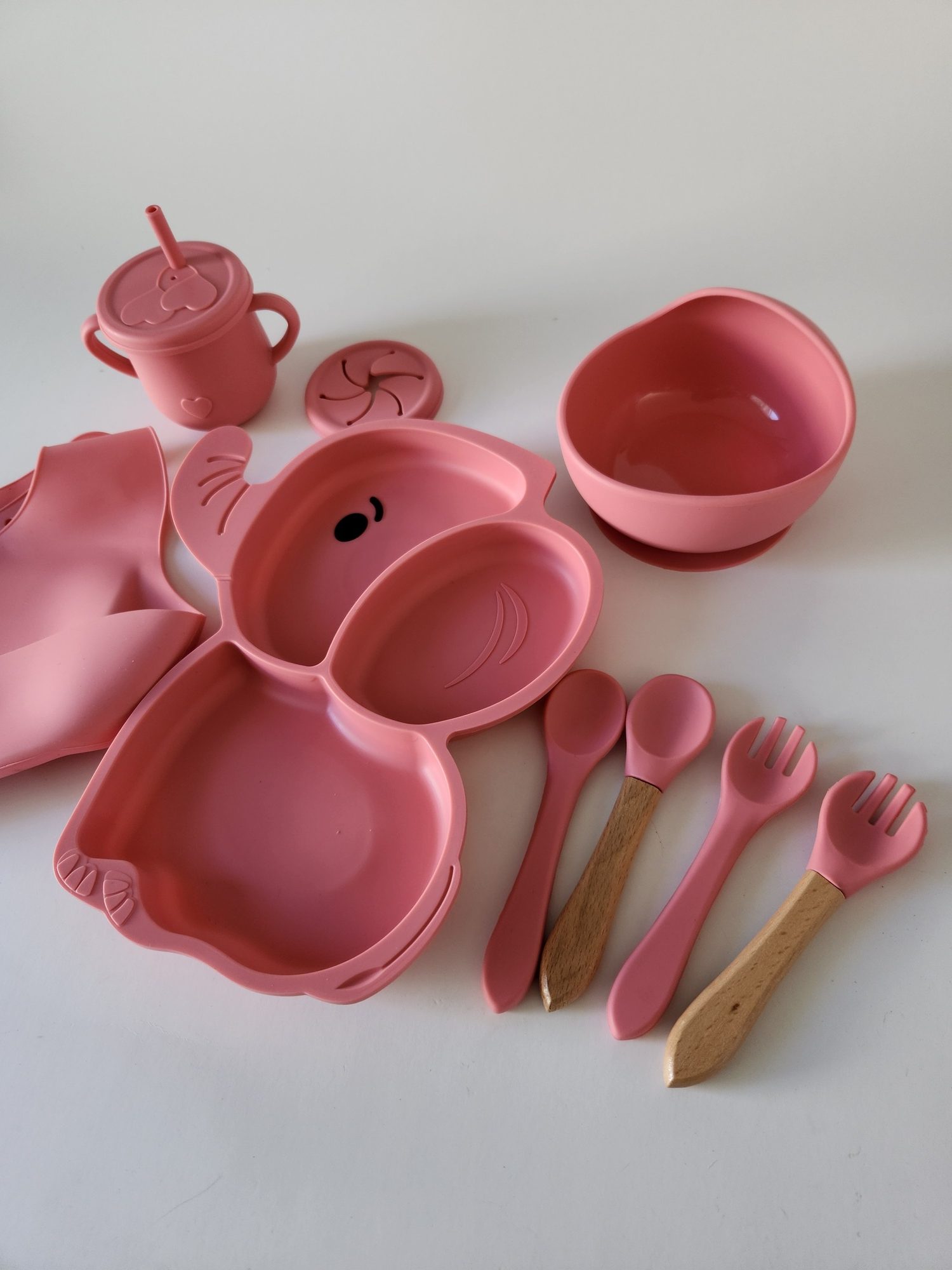 PA2 set de alimentacion(8)